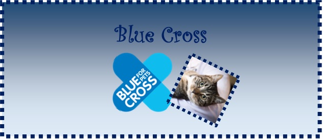 Blue cross